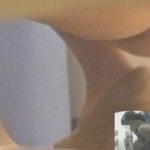 美人さんもトイレでオナラしますｗ