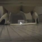 無料動画 イベントコンパニオンのトイレ盗撮張り込み!
