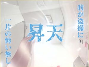 単品よりお得?のぞき本舗真中村屋トイレ盗撮動画昇天