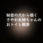 2次元キャラトイレ覗き見!秘密の穴から覗くさやかお姉ちゃん和式姿