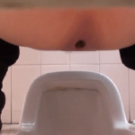 和式撮!公園トイレでうんこするお姉さんの姿を突撃取材!