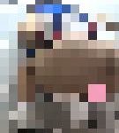 和式トイレ撮! 全編チア 【期間限定】【GW2020】