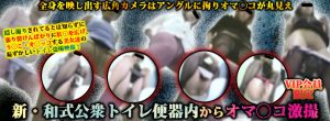 覗吉シリーズ復活！新・和式公衆トイレ便器内からオマ〇コ激撮