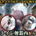 覗吉シリーズ復活！新・和式公衆トイレ便器内からオマ〇コ激撮